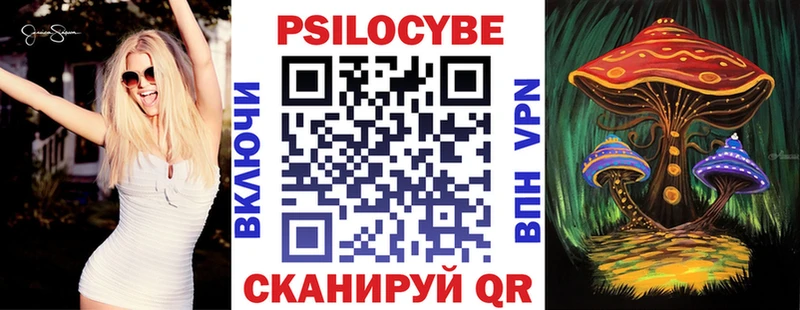 omg как войти  закладки  Шали  Галлюциногенные грибы Psilocybine cubensis 