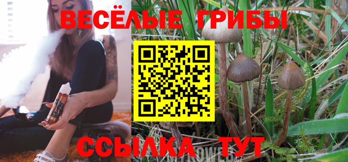 MDMA Шали