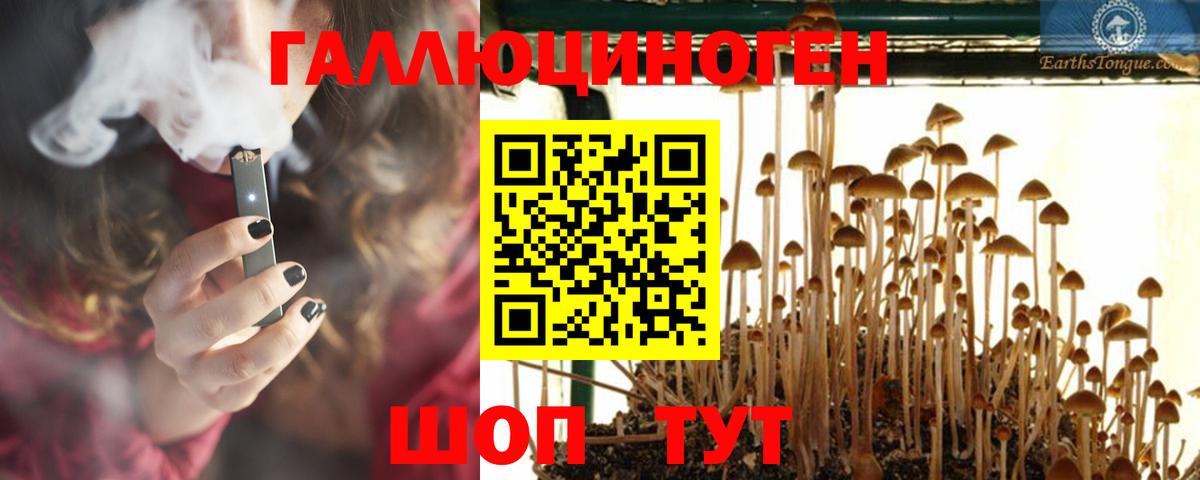 Псилоцибиновые грибы GOLDEN TEACHER Шали