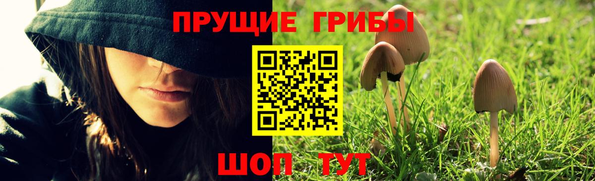Галлюциногенные грибы Psilocybine cubensis  Вход с VPN  Галлюциногенные грибы Psilocybe  Шали 