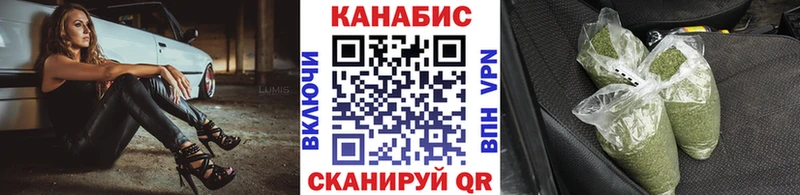 Конопля OG Kush  Шали 
